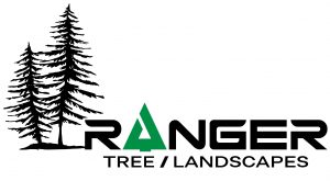 Tree Care and Yard Maintenance Logan Utah